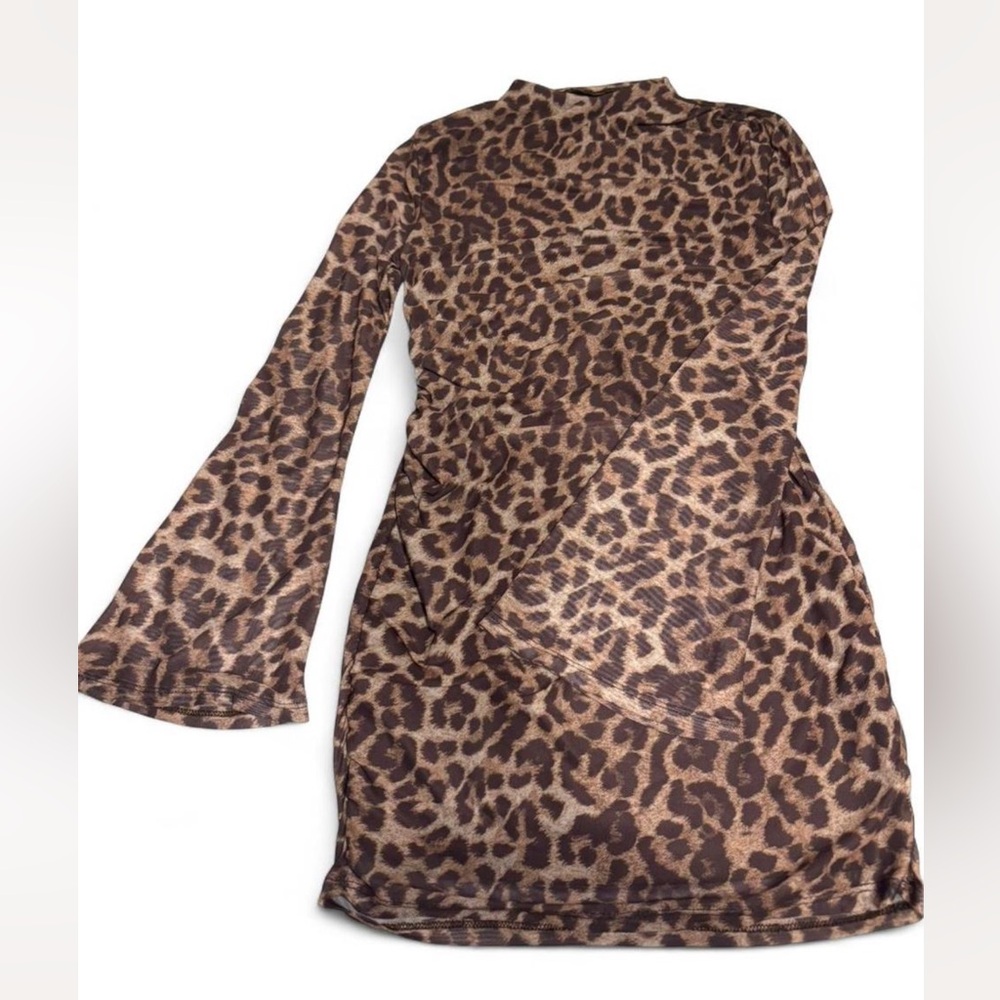 Leopard Print Long Sleeve Dress